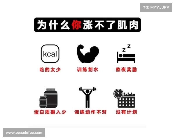科学增肌全攻略 提高肌肉增长效率的训练与饮食方法解析 科学增肌全攻略 提高肌肉增长效率的训练与饮食方法解析